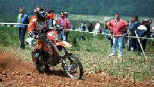 Mario Rinaldi