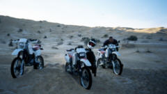 3 XR au petit matin, selles givres!