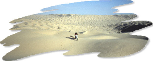 Yves sur fond de dunes